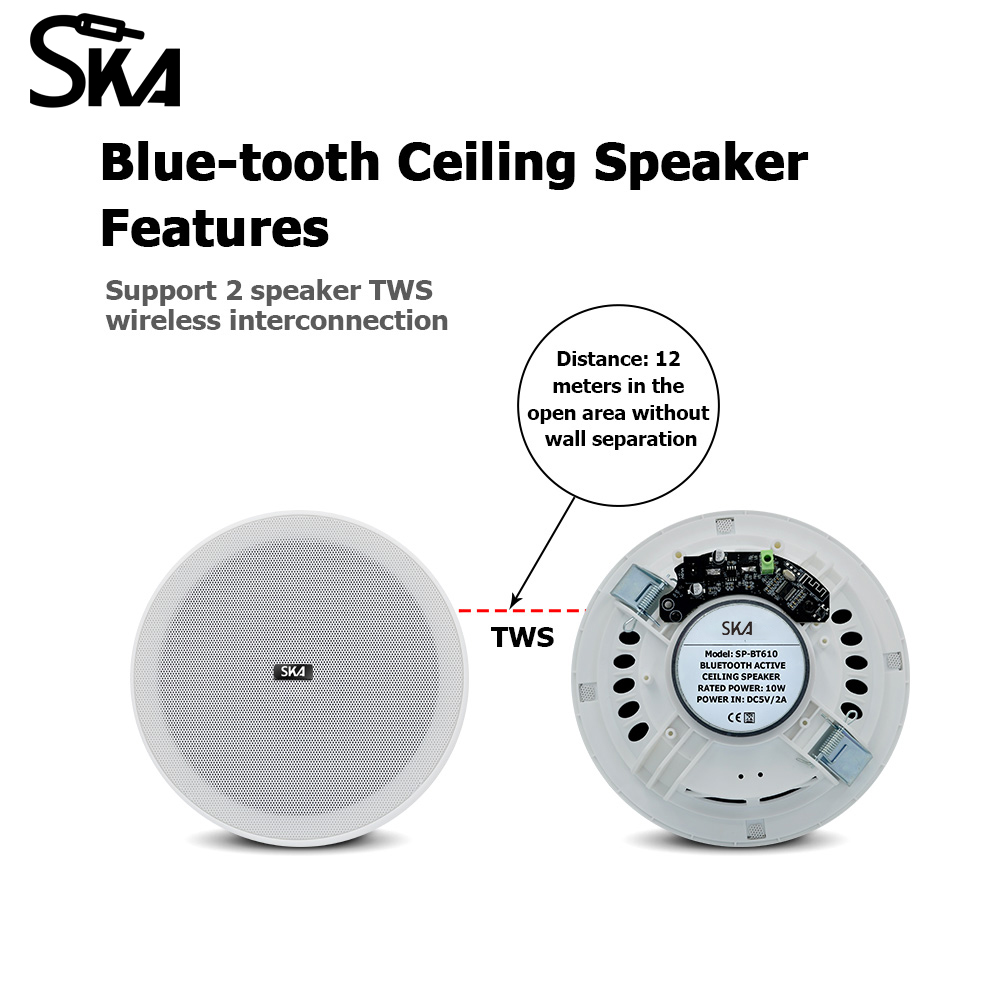 Ceiling Bluetooth Speaker 6inc - Home Cinema Speaker System recension och pris